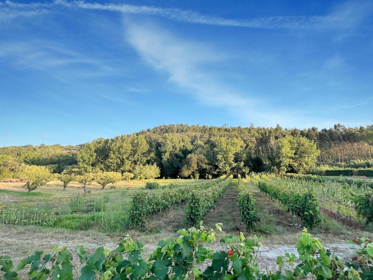 Quinta Mourada Panzió São Bartolomeu Kültér fotó